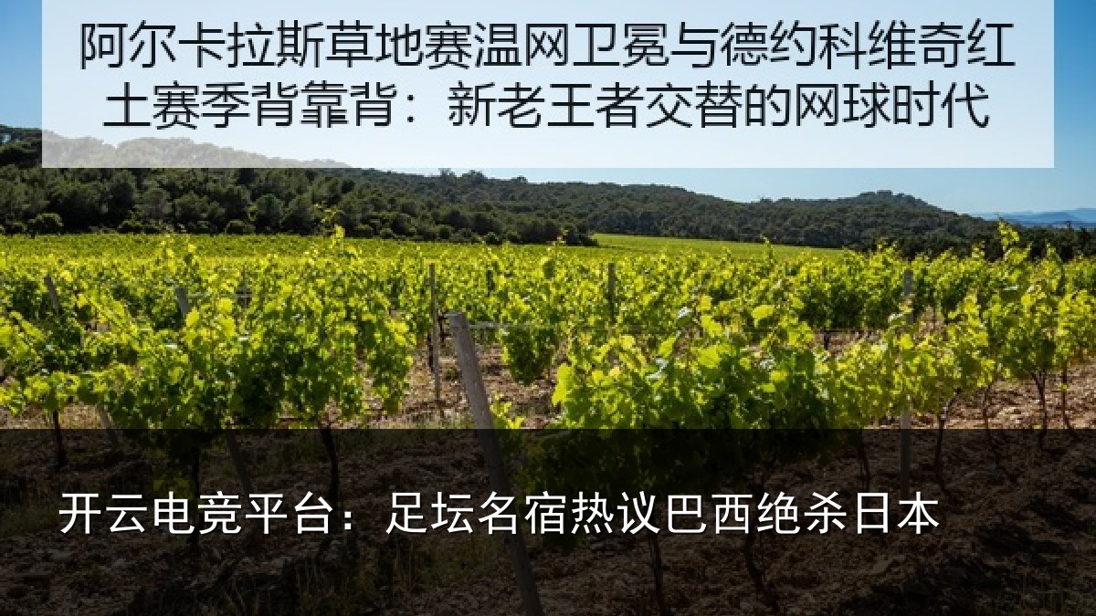 开云电竞平台:足坛名宿热议巴西绝杀日本