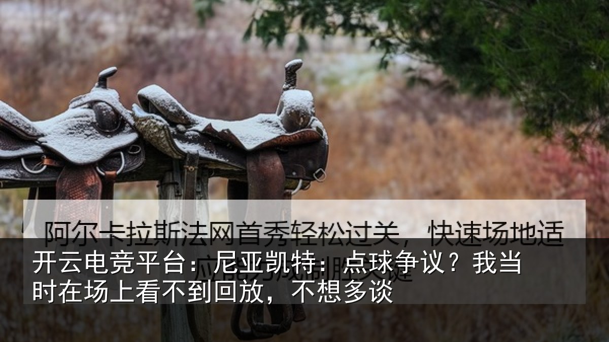 开云电竞平台:尼亚相关情况时在相关情况想多谈