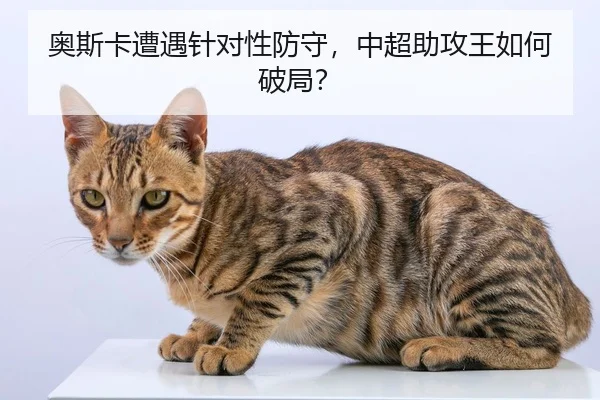 ao-si-ka-zao-yu-zhen-dui-xing-fang-shou-zhong-chao-zhu-gong-wang-ru-he-po-ju-2-406.jpg