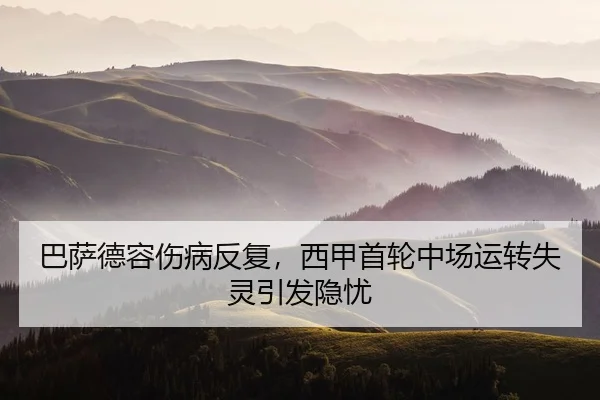 ba-sa-de-rong-shang-bing-fan-fu-xi-jia-shou-lun-zhong-chang-yun-zhuan-shi-ling-yin-fa-yin-you-2-379.jpg