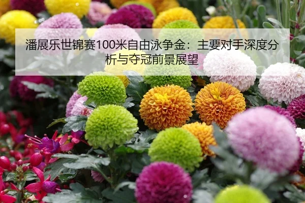 潘展乐世锦赛100米自由泳争金：主要对手深度分析与夺冠前景展望