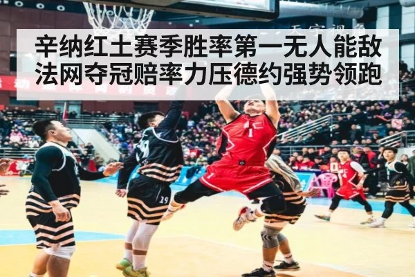 辛纳红土赛季胜率第一无人能敌 法网夺冠赔率力压德约强势领跑